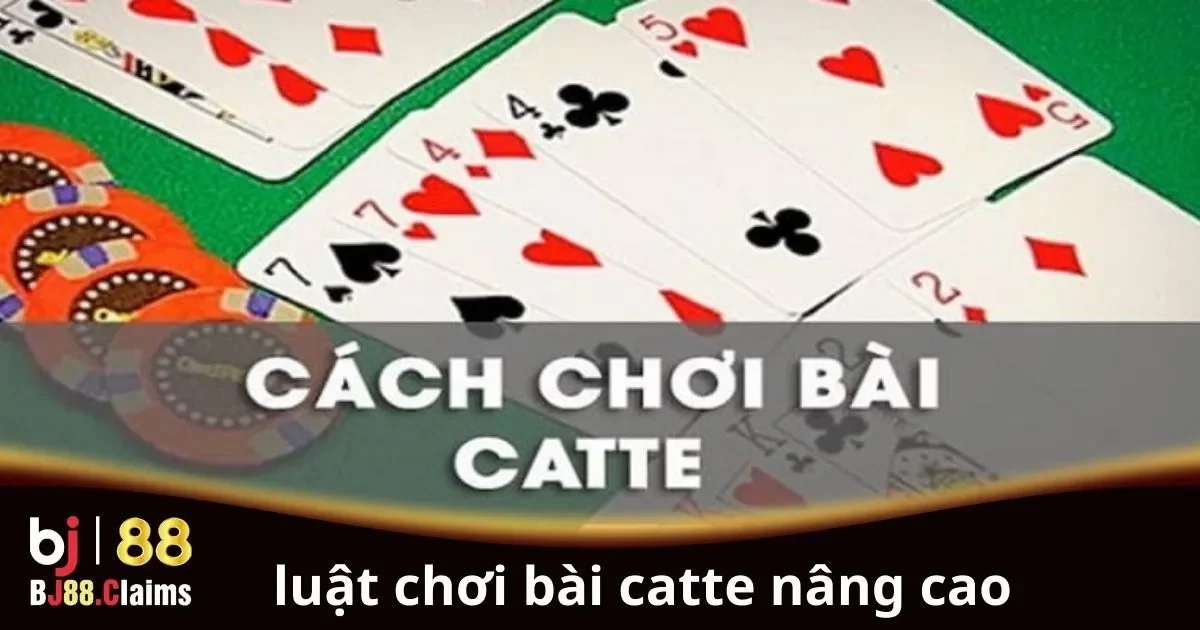 Luật Chơi Bài Catte Nâng Cao: Hướng Dẫn Cho Người Chơi 1 Luật Chơi Bài Catte Nâng Cao: Hướng Dẫn Cho Người Chơi