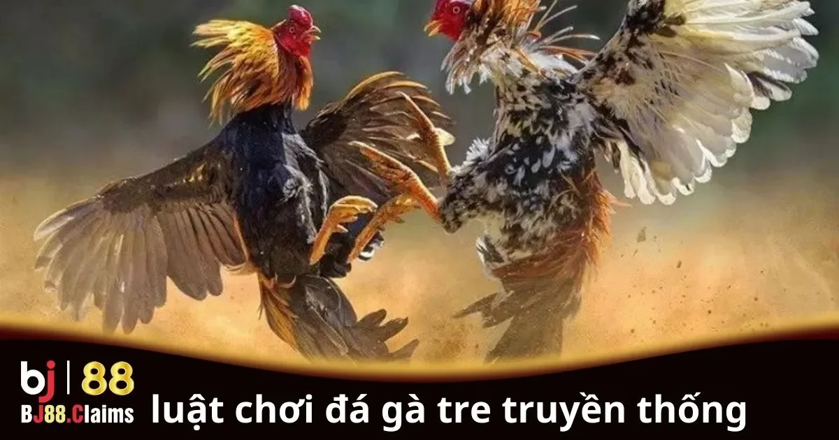 Luật Chơi Đá Gà Tre Truyền Thống: Hướng Dẫn Chi Tiết 1 Luật Chơi Đá Gà Tre Truyền Thống: Hướng Dẫn Chi Tiết