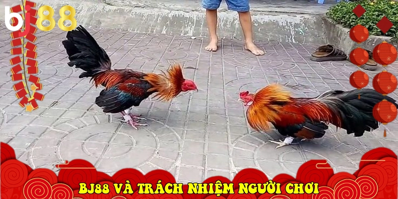 BJ88 ⭐️ Link Vào BJ88.Com Đá Gà Thomo, Casino Uy Tín 2026 36 BJ88 và trách nhiệm người chơi