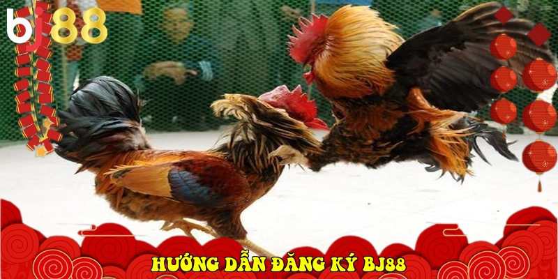BJ88 ⭐️ Link Vào BJ88.Com Đá Gà Thomo, Casino Uy Tín 2026 34 Hướng dẫn đăng ký BJ88